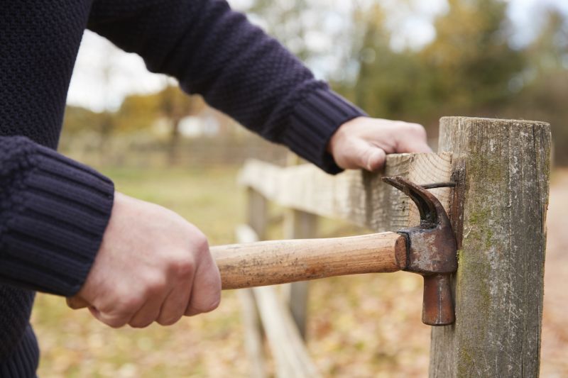 Fence Maintenance in Fall